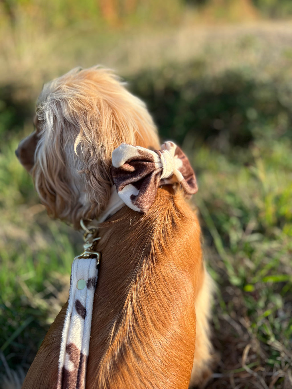 Noeud motif vache 🐮