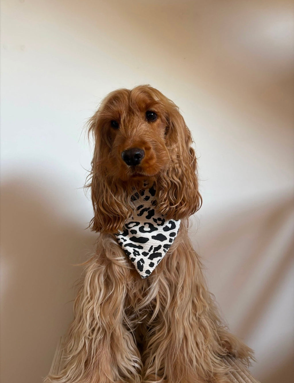 Bandana safari blanc 🤍