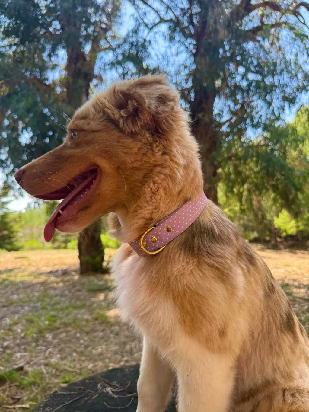 Collier Lila à pois💜