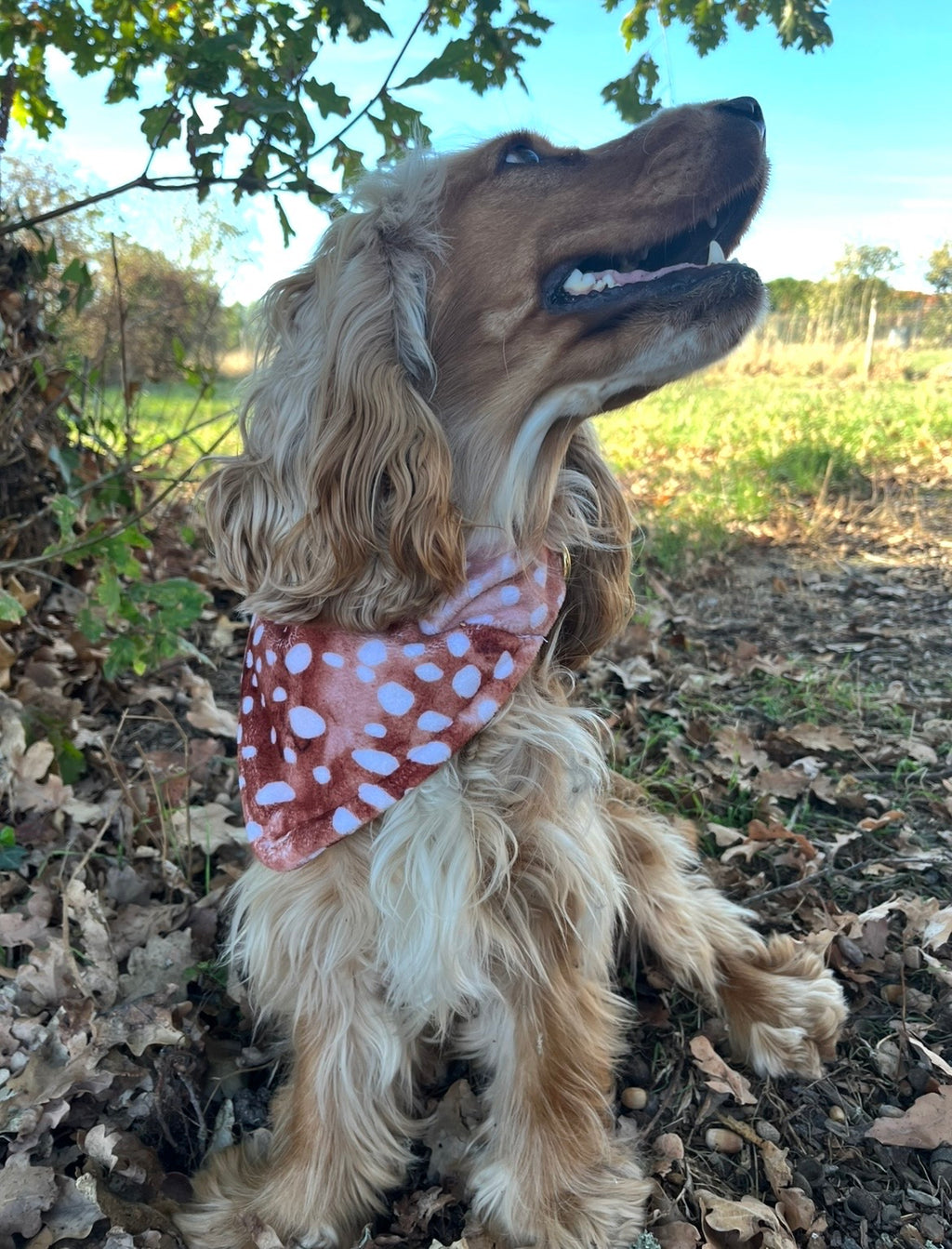 Bandana biche 🦌