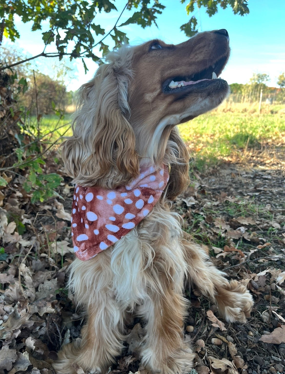 Bandana biche 🦌