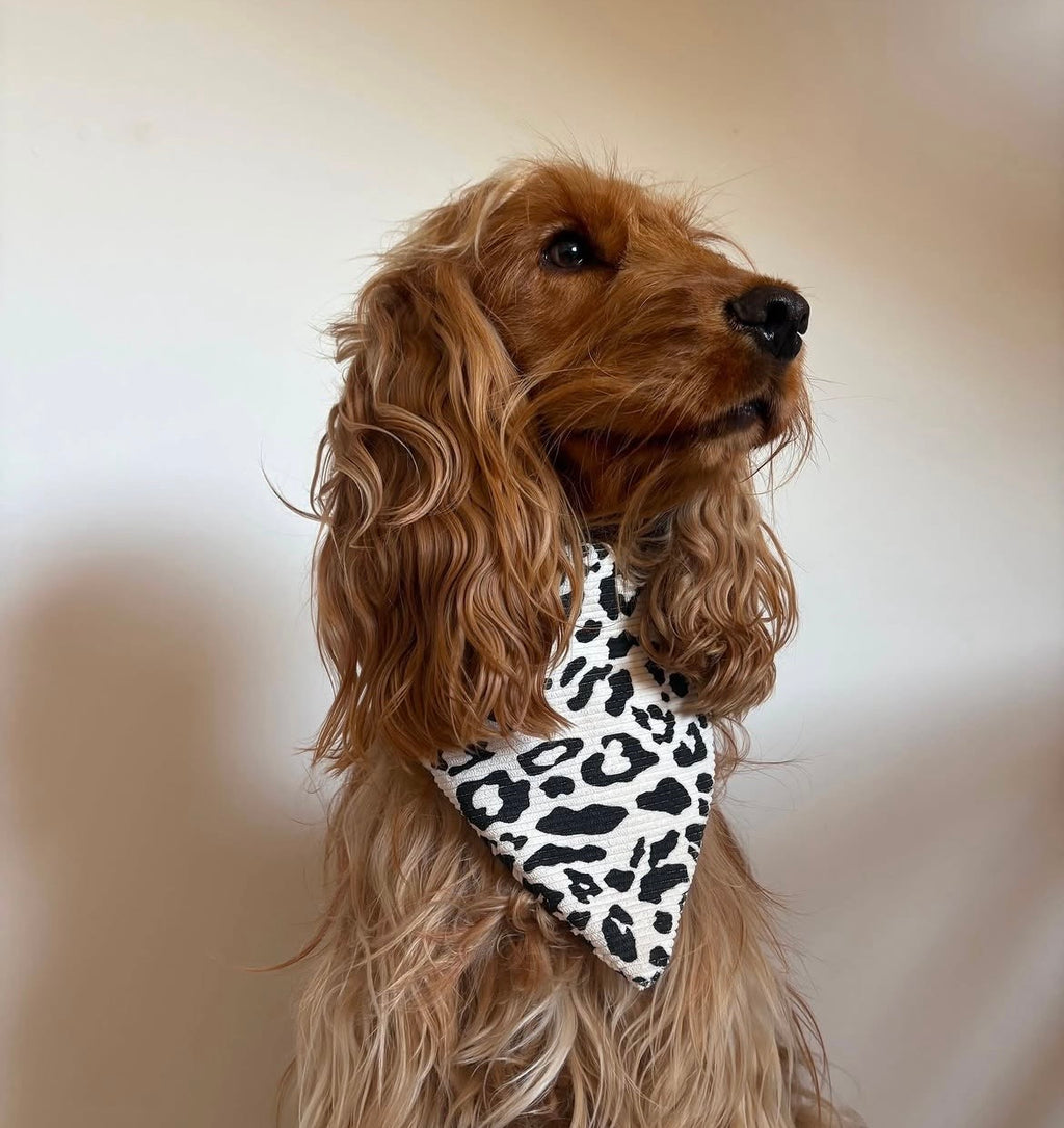 Bandana safari blanc 🤍