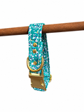 Collier blue