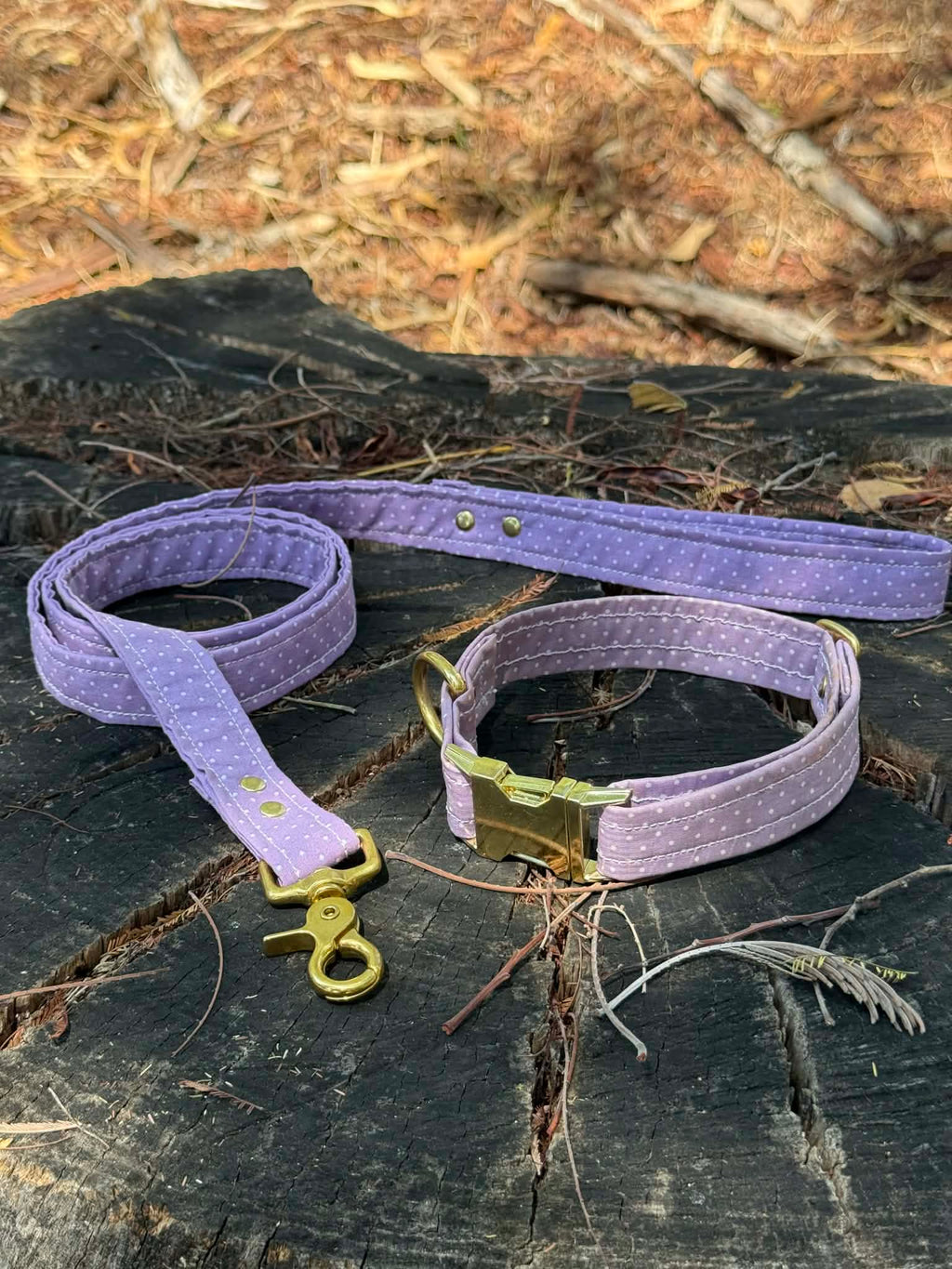 Laisse Lila à pois 💜