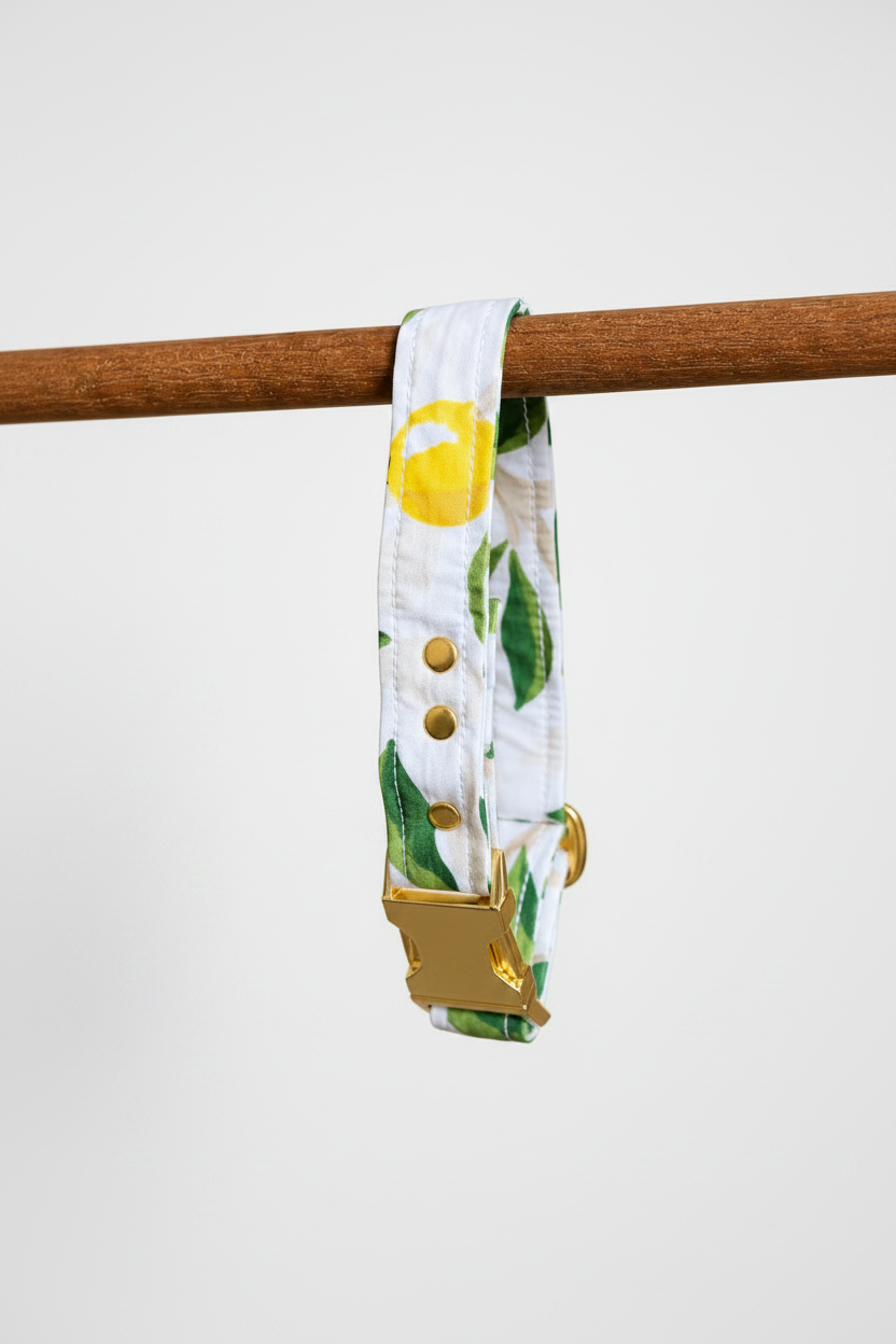 Collier citron 🍋